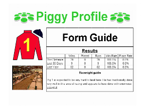 Race Night Form Guide